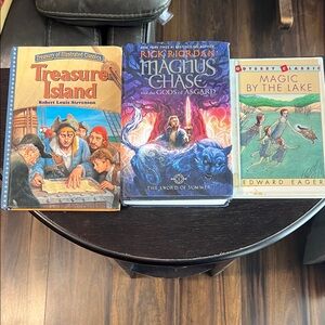 Magnus Chase Book - Blue Cover